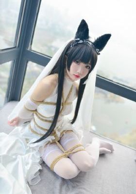 美梦大全免费观看_超清全集免费播放